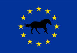 Equestrian Tourism Europe 
